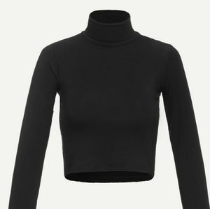 Turtleneck crop top